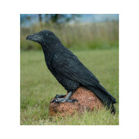 WILDCRETE 3D Corvo