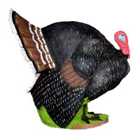 WILDCRETE 3D Tacchino