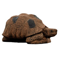 WILDCRETE 3D Tartaruga