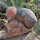 WILDCRETE 3D Mosca