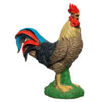 IBB 3D Gallo - marrone