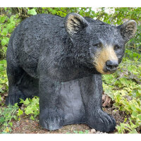 FRANZBOGEN - Orso del miele in corsa