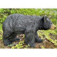 FRANZBOGEN - Orso del miele in corsa