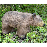 FRANZBOGEN - Orso del miele in corsa