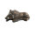 LONGLIFE Cinghiale seduto