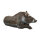 LONGLIFE Cinghiale seduto