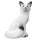 SRT Arctic Fox