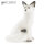 SRT Arctic Fox