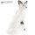 SRT Arctic Fox