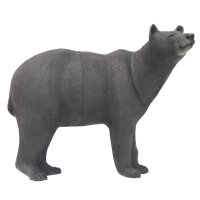 SRT Orso bruno