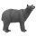 SRT Orso bruno