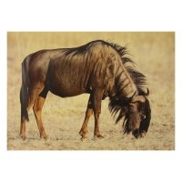 STRONGHOLD Bersaglio Animali - Gnu 30 x 42 cm...