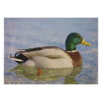 STRONGHOLD Bersaglio Animali - Anatra II - 30 x 42 cm -...