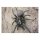 STRONGHOLD Bersaglio Animali - ragno - 30 x 42 cm - idrorepellente/antistrappo