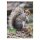 STRONGHOLD Bersaglio Animali - scoiattolo - 30 x 42 cm - idrorepellente/antistrappo