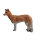 Coyote LEITOLD