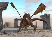 STRONGHOLD Bersaglio fantasia - drago - 59 x 84 cm -...